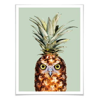 Poster Loose - Pineapple Owl 