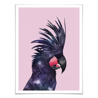 Poster Loose - Galaxy Bird 