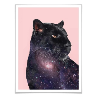 Poster Loose – Galaxy Panther 