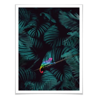 Poster Loose - Proud to be different 