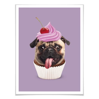 Poster Loose - Pugcake 