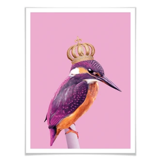 Poster Loose - Queenfisher 