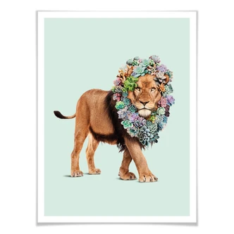 Poster Loose - Succulent Lion 