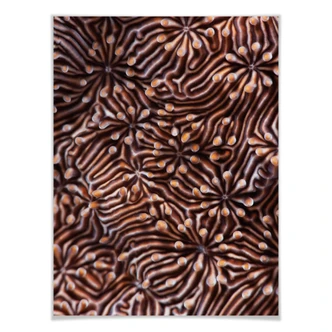 Poster Narchuk - Hypnotic Maze 