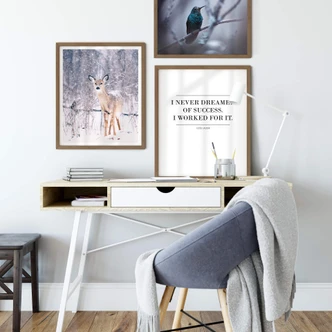 Poster I never dreamed of success 02 