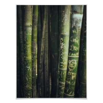 Poster Bambou vert 