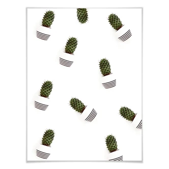 Poster Mon petit cactus - des cactus 
