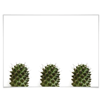 Plakat - Mine små kaktusser Plakat - Mine små kaktusser