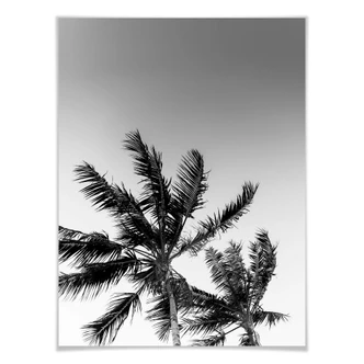 Poster Stormy Palm Trees 