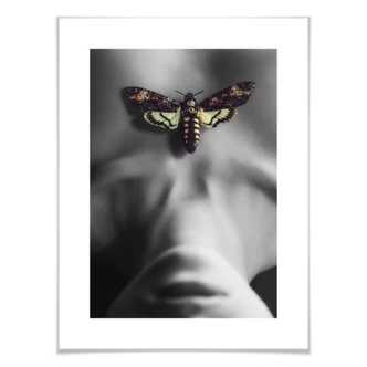 Poster Russocka - Butterfly 