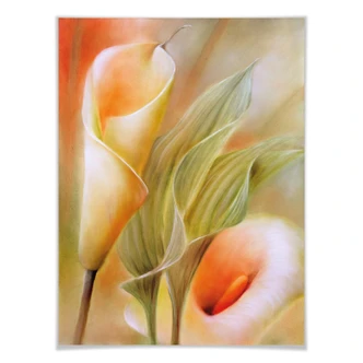 Poster Schmucker - Callas 