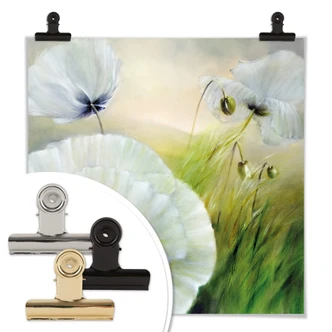 Poster Schmucker - Vit vallmo 