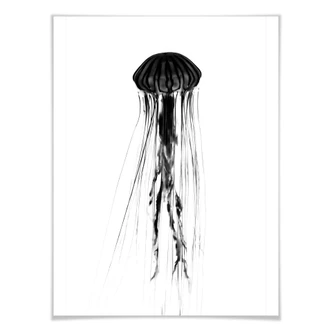 Poster Black jellyfish 