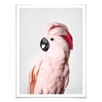 Poster Sisi & Seb - Pink Cockatoo 