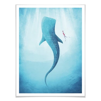 Poster Rivers - de Walvishaai 