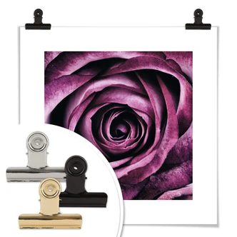 Violet Rose Poster 