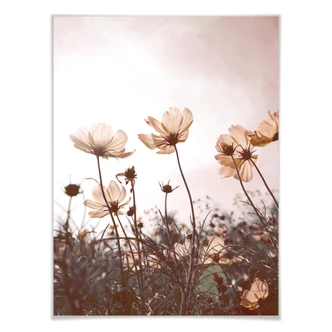 Poster Wild Flowers Poster Wild Flowers