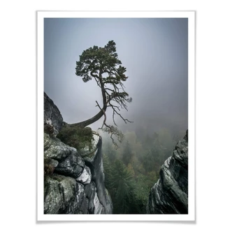 Poster Wonisch - Force of Nature 