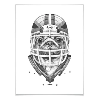 Poster Kools - American Pug Football 