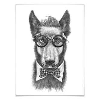 Poster Kools - Docga Bowie 