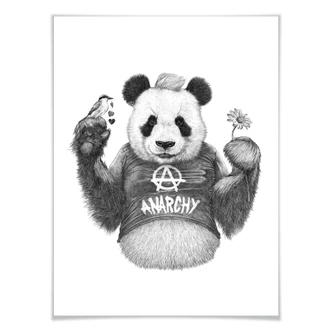 Poster Kools - Punk Panda 