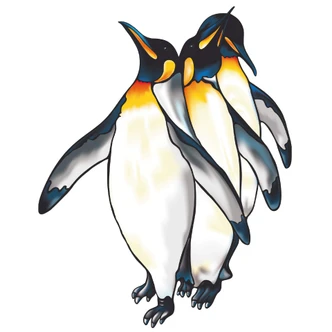 Sticker mural - Manchots Colorés Sticker mural - Manchots Colorés