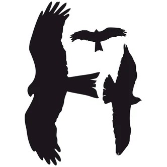 Muursticker Set Valken 