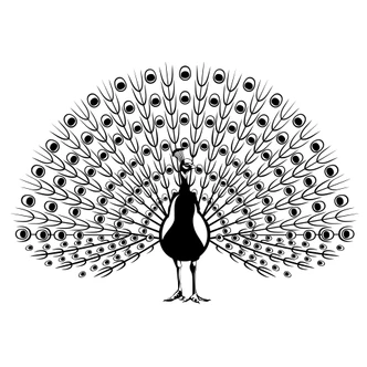 Muursticker Pauw 2 
