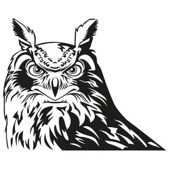 Eagle Owl Wall sticker 