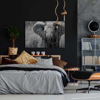 Glasbild Jumbo der kleine Elefant 