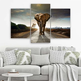 Stampa su tela 3 pezzi, Elefante sulla strada 