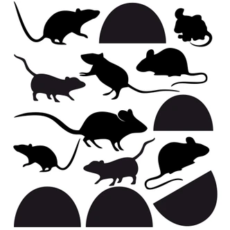 Trapsticker Muizen Trapsticker Muizen