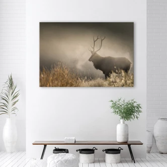 Canvasbillede, Hjort i tågen natur 