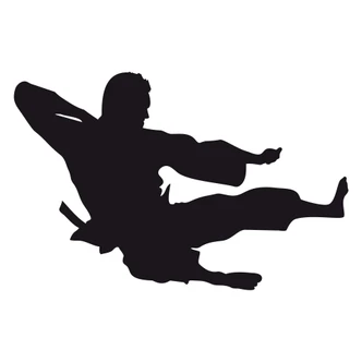 Wandtattoo Kampfkunst 02 