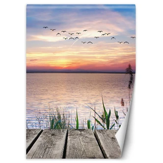 Fototapete, Vögel am Meer Fototapete, Vögel am Meer