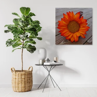 Leinwandbild, Orangefarbene Sonnenblume 