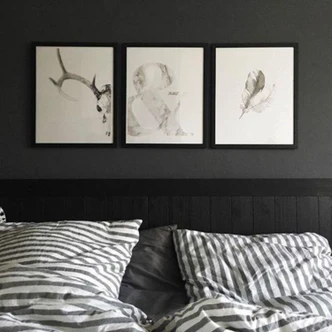 Poster Skull of a Deer 