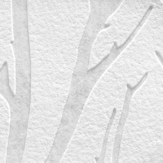 A.S. Création Vliestapete Meistervlies Tapete mit Ästen überstreichbar weiß 