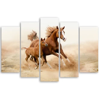 Leinwandbild 5 teilig, Bucht Pferd Galop Natur Leinwandbild 5 teilig, Bucht Pferd Galop Natur