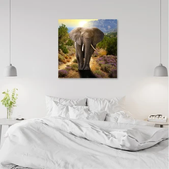 Canvasbillede, Elefant ved solnedgang 