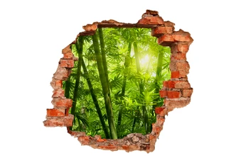 Sticker mural 3D Rayon de soleil dans la forêt de bambous  