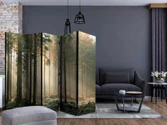 Paravent, Raumteiler freistehend, Trennwand - Foggy November morning II, 5-teilig - einseitig bedruckt - 225x172 cm 