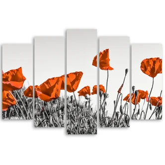 Leinwandbild 5 teilig, Roter Klatschmohn 