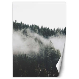 Fototapete, Wald im Nebel Bergen Fototapete, Wald im Nebel Bergen