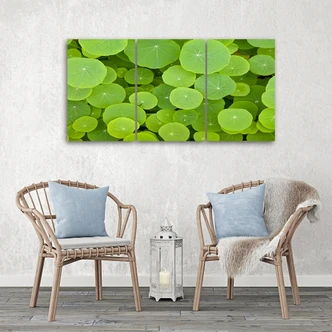 Leinwandbild 3-teilig, Grüne Blätter 