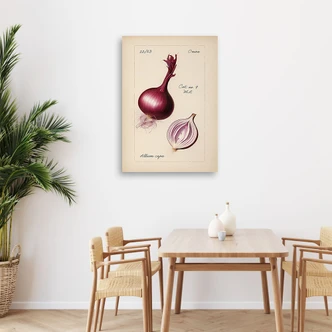 Leinwandbild Gemüse Weinlese Zwiebel 