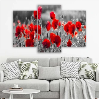 Leinwandbild 3-teilig, Rote Mohnblumen Pflanzen 