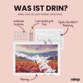 Malen nach Zahlen Leinwandbild - Frau traditionell Modern Art  