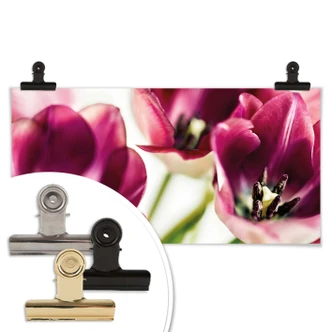 Poster Bsmart - Tulips 