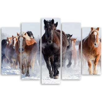 Leinwandbild 5 teilig, Pferde Galoppierender Winter Leinwandbild 5 teilig, Pferde Galoppierender Winter